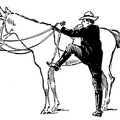 The wrong way to mount a horse—facing forward.png