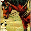 Horse and Dog.jpg