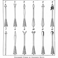 Different forms of crossbow bolts.jpg