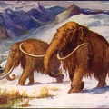 Scene from the Prehistoric World -  Early Ice Age.jpg