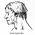 Combe Capelle Man.jpg
