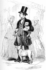 The Street Dog Seller