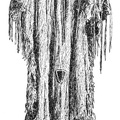 Indian Costume (Female)
