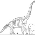 The Largest Known Dinosaur.jpg