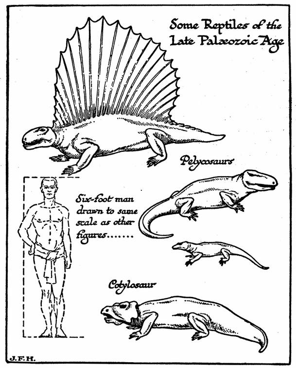 Some Reptiles of the Late Paleozoic Age.png