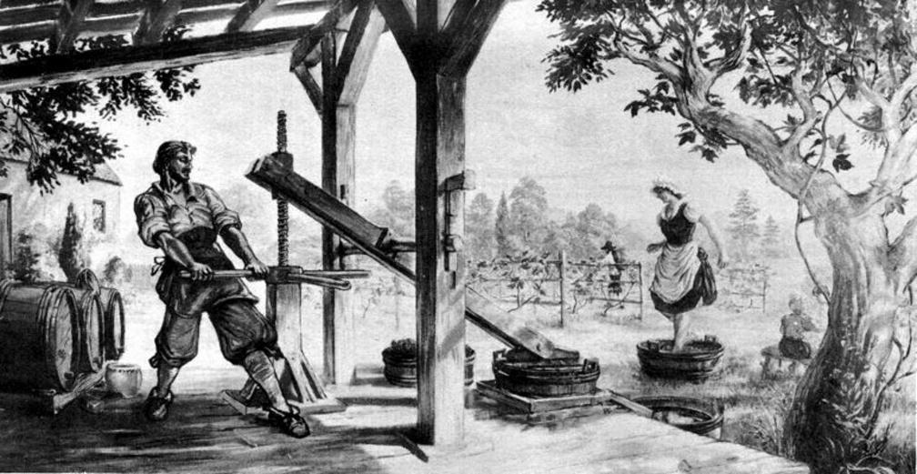Making Wine At Jamestown About 1650.jpg