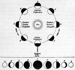 Orbit and Phases of an Inferior Planet