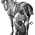 Blacksmith shoeing horse