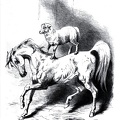 Horse and sheep show.jpg