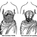 The Natural Waist and the Effects of Lacing