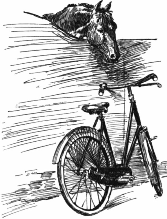 Horse looking at a bicycle.jpg