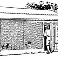 A home-made chicken coop built on the 'scratching-shed' plan.png