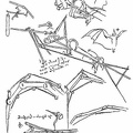 Facsimile of Leonardo da Vinci's drawings on artificial wings