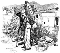 Mexican Water-carrier.