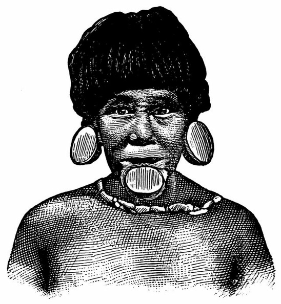 Botocudo Indian with Lip-plug.jpg