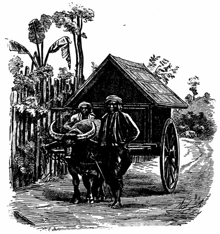Buffalo Cart