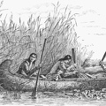Ojibwa Women Gathering Wild Rice.jpg