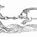 Spearing a Boar—XIV. Century