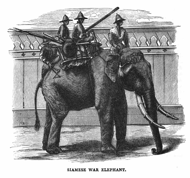 Siamese War Elephant.jpg