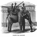 Siamese War Elephant