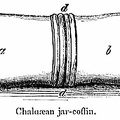 Chaldean Jar-Coffins