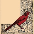 Cardinal frame