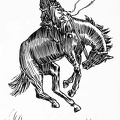 Cowboy on a bucking bronco near Garden City, Kansas