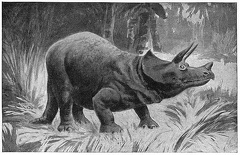 The gigantic three-horned Reptile, Triceratops