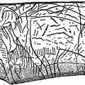 The Mammoth as Engraved by a Primitive Artist on a Piece of Mammoth Tusk
