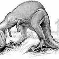 The Horned Ceratosaurus, a Carnivorous Dinosaur