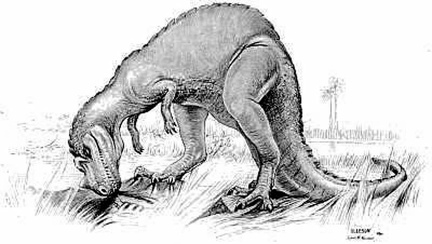 The Horned Ceratosaurus, a Carnivorous Dinosaur