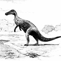 Thespesius, a Common Herbivorous Dinosaur of the Cretaceous