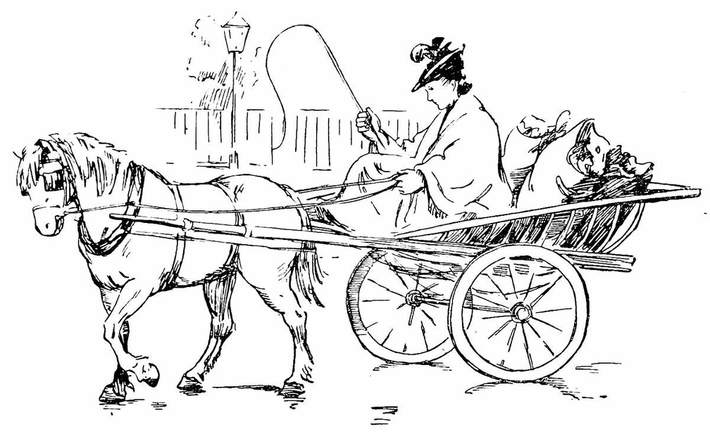 Lady driving in a horse and cart