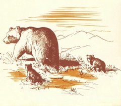 Bear with two cubs