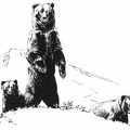 Bear with cubs.jpg