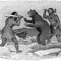 Palæolithic Men Attacking Cave Bear