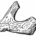 Esquimaux carving