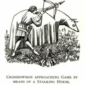 Crossbowman approaching game