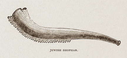 Jewish Shophar