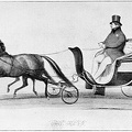 King George IV. in His Pony Phaeton