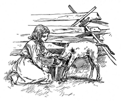 How the calf was fed