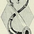 Gallo-Roman Sword and Horn
