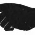 Silhoette - Right Hand pointing.jpg