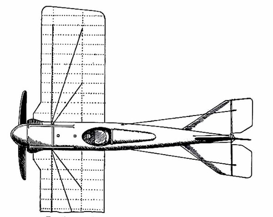Racing Deperdussin Monoplane (top view)