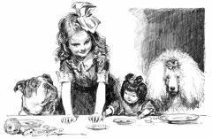 Ladies and Gentlemen