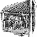My father stabled his horses at night in our lodge, in a little corral fenced off against the wall