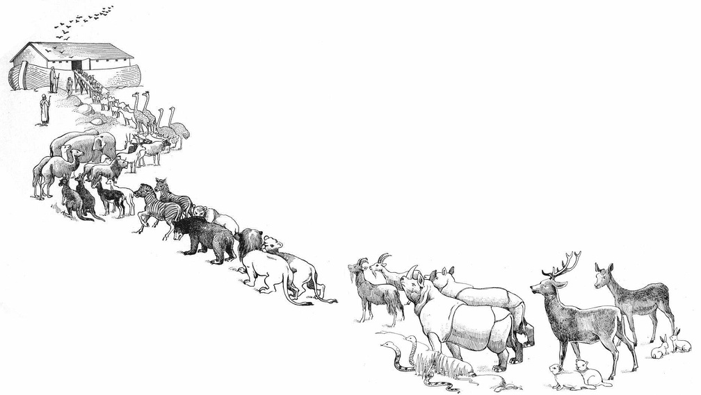 Animals into ark .jpg