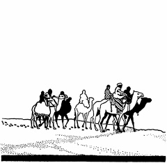 Group of camels and riders