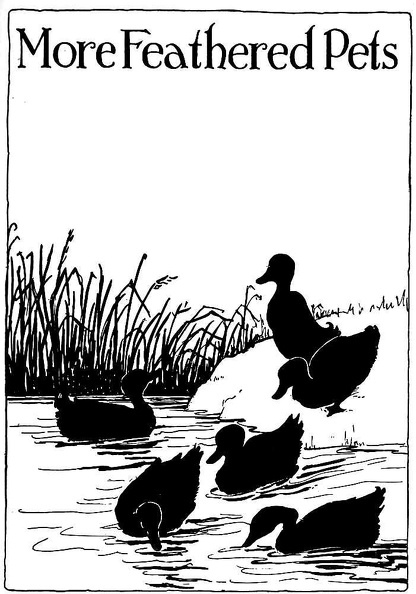 More feathered Pets.jpg