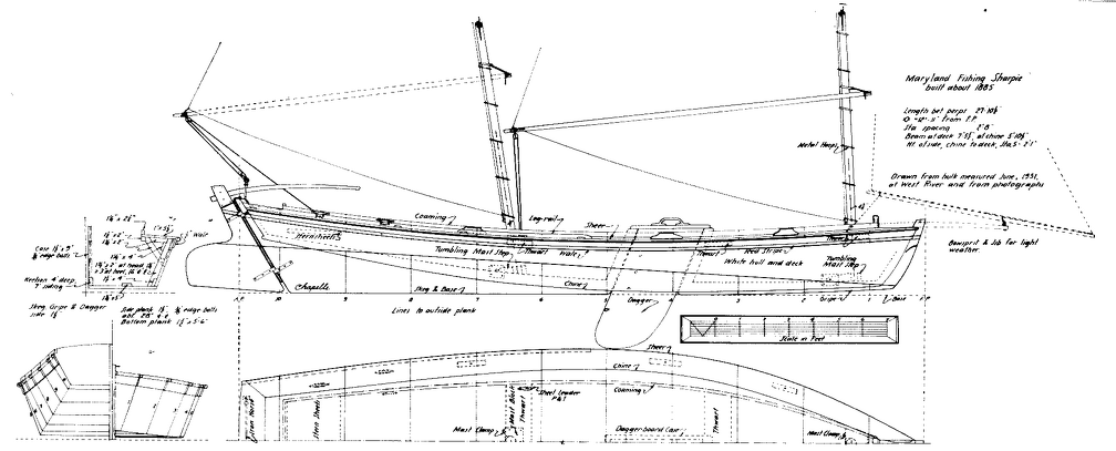 Plan of a large Chesapeake Bay sharpie taken from remains of boat